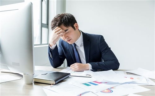 上海人力資源管理師培訓全方位指南 機構選擇、費用解析與備考策略